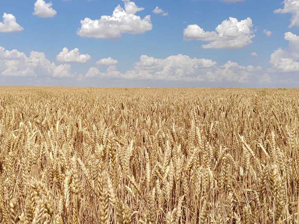 Фотография автора Татьяна Егорова