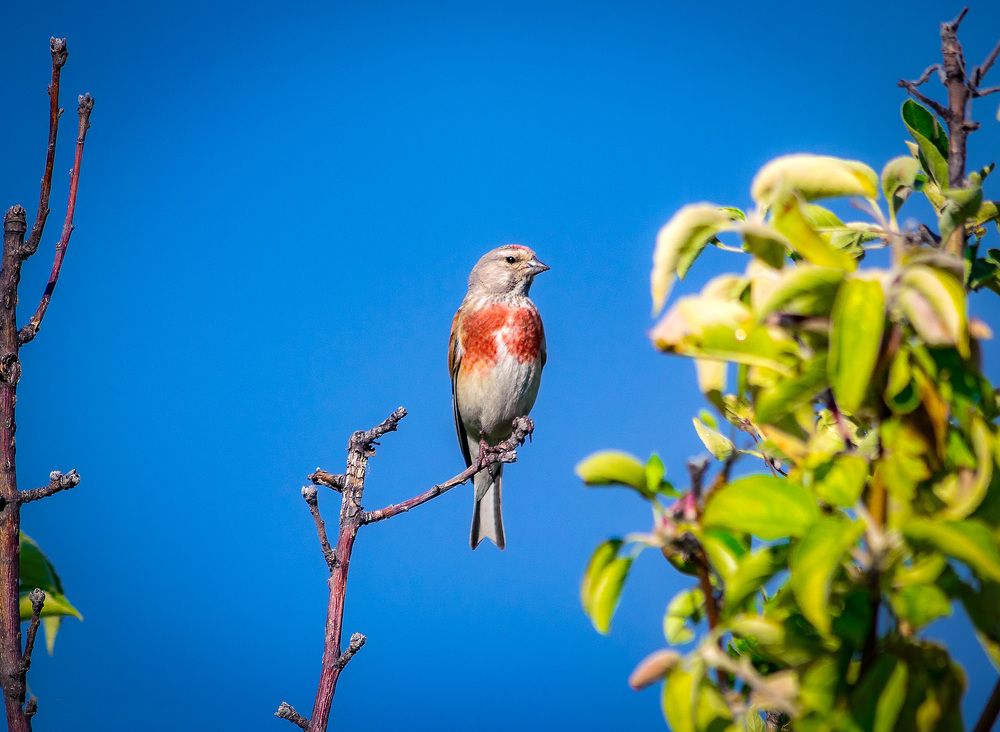Photograph by Ткачёв Владимир