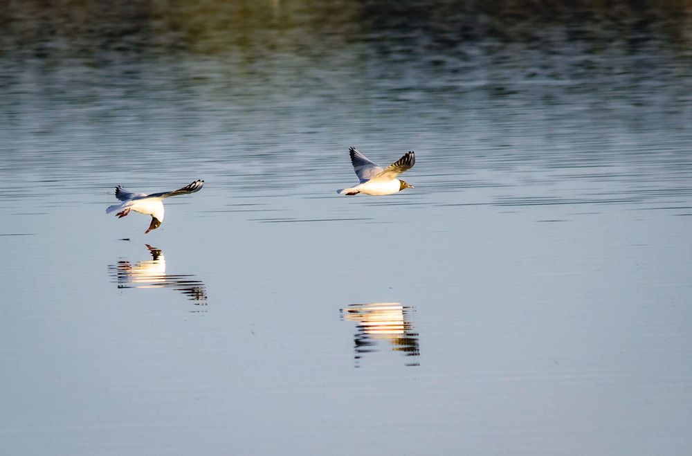 Постой, я зеркало забыла