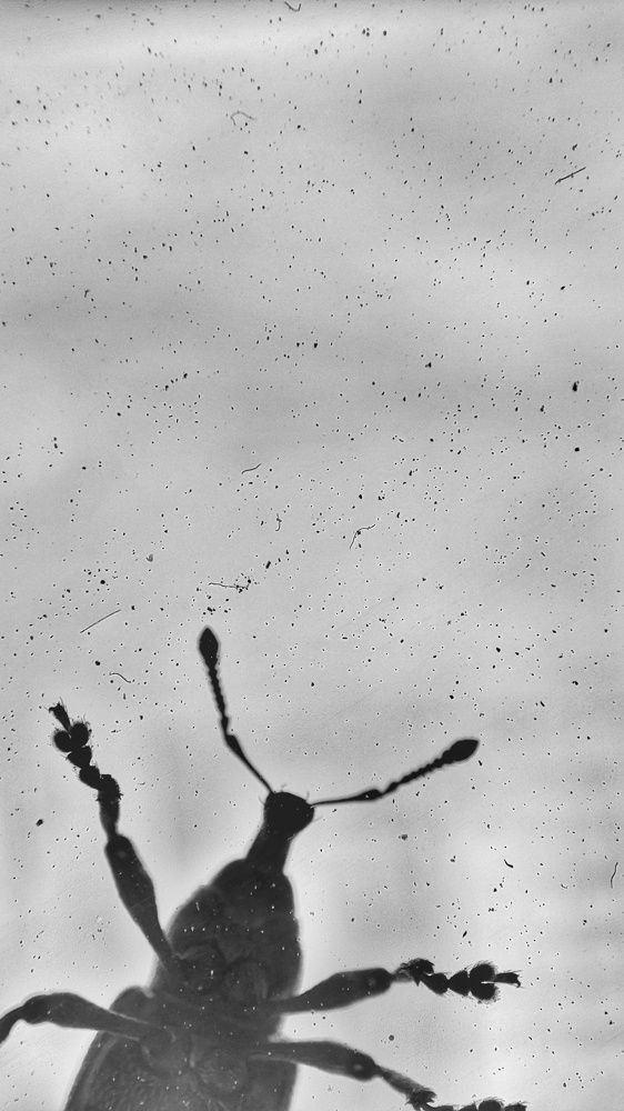 Фотография автора Калюнова Наталья