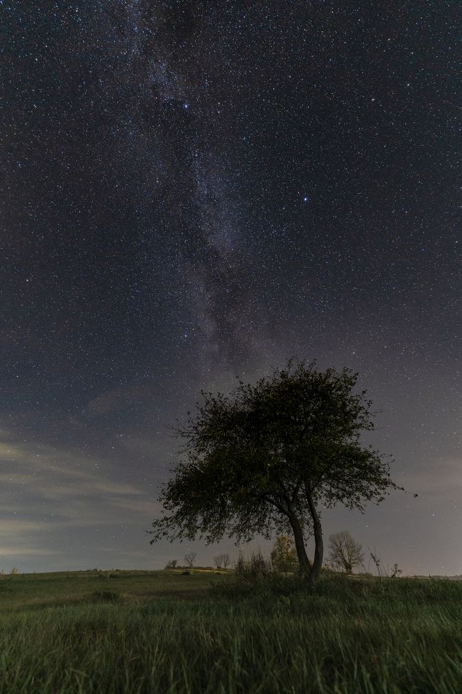 Photograph by Иван Мосьянов