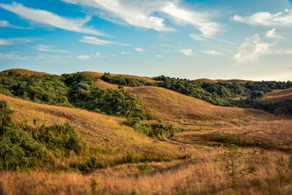 Photograph by Kamal Bhattacharjya