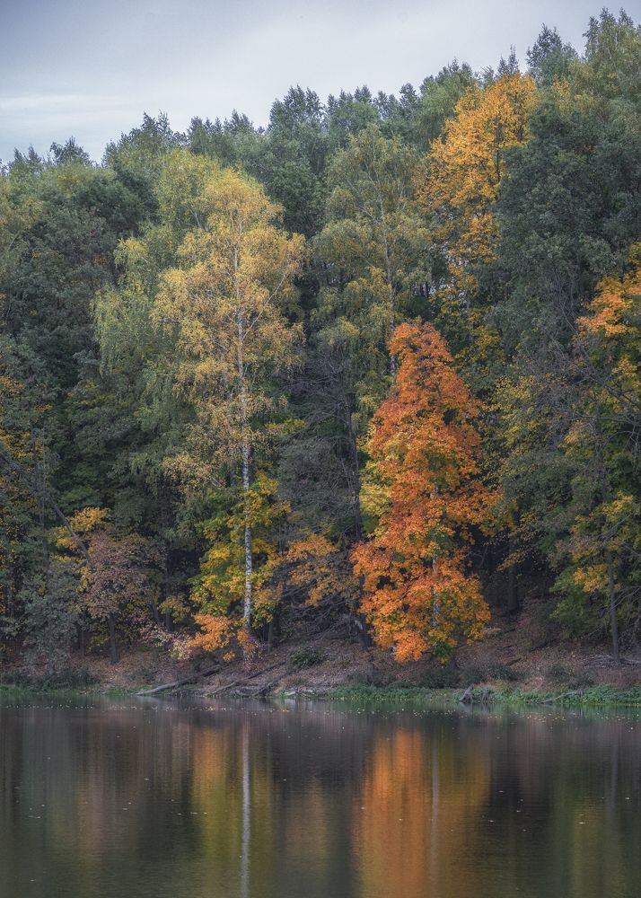 Photograph by Иван Мосьянов