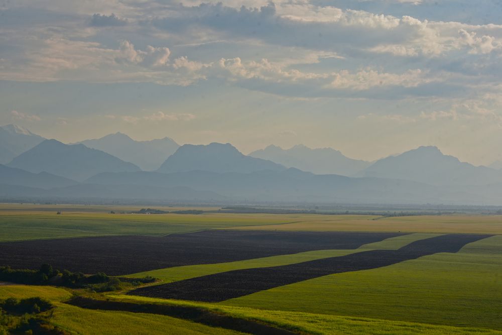 Photograph by Алексей Черкашин