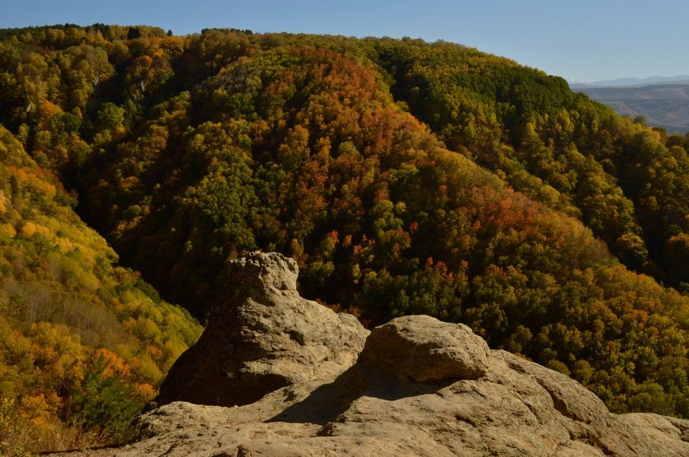 Photograph by Ольга Шевцова