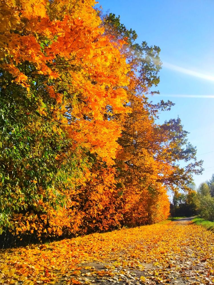 Photograph by Любовь Коровацкая