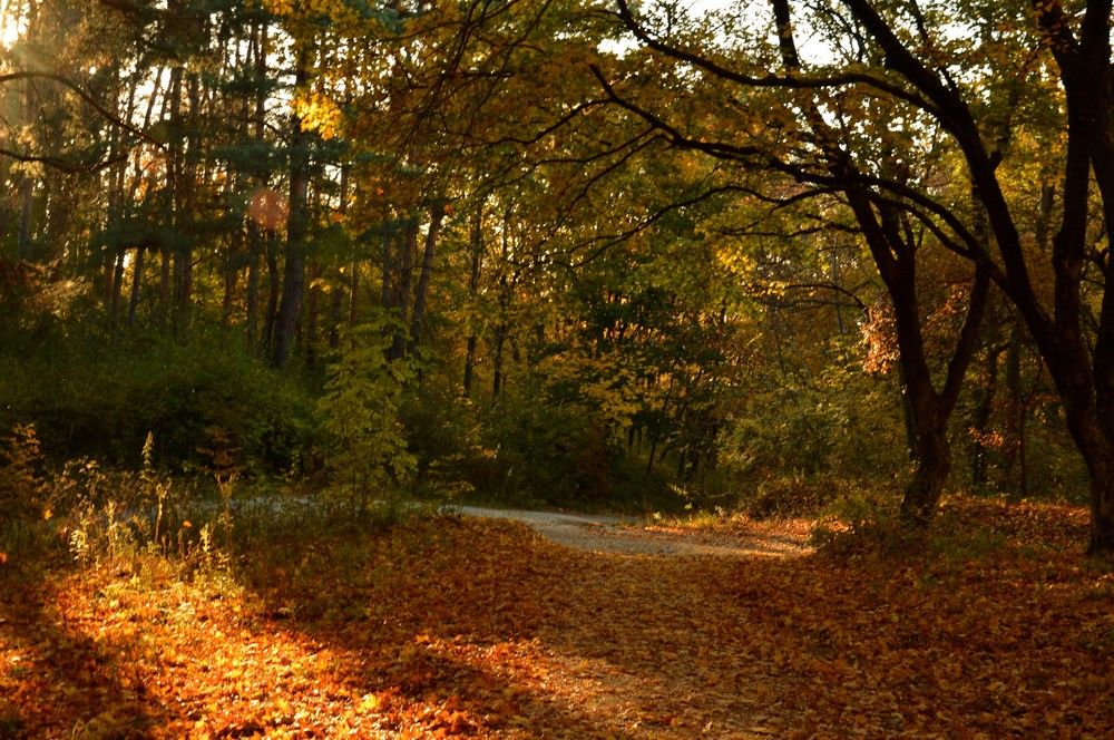 Photograph by Ольга Шевцова