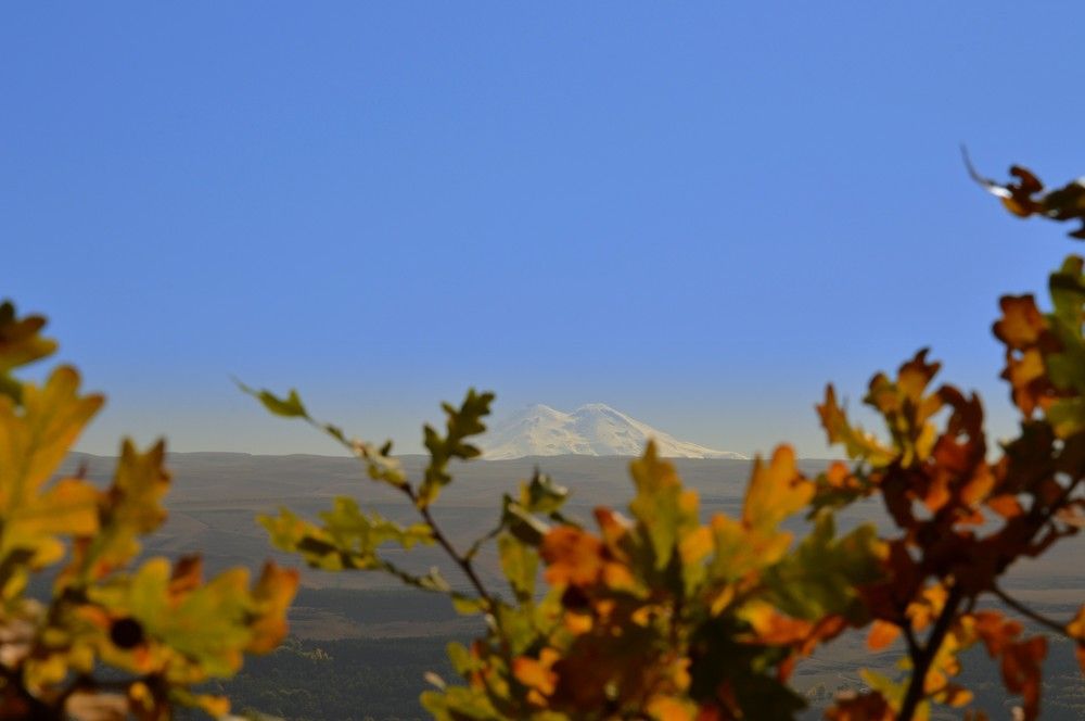 Photograph by Ольга Шевцова