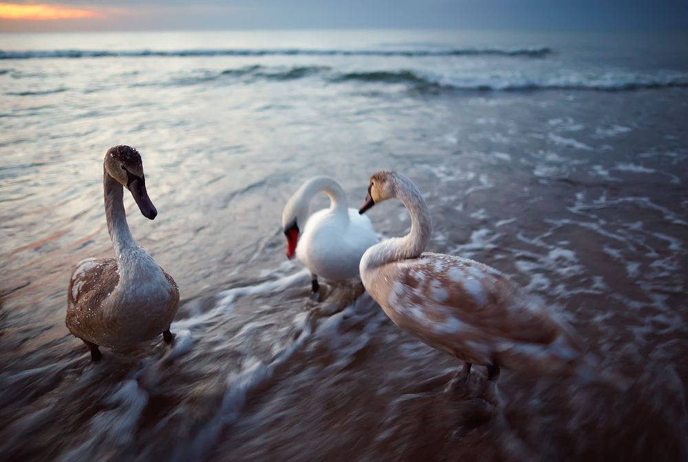 Photograph by Prometej