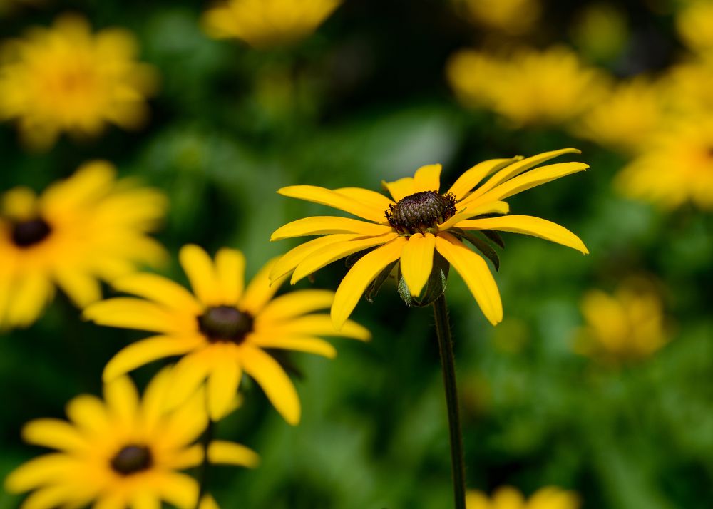 Photograph by Юрий Бичеров