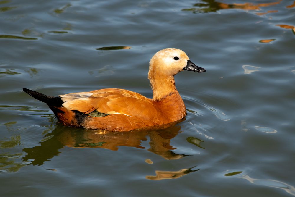 Photograph by Павлов Егор