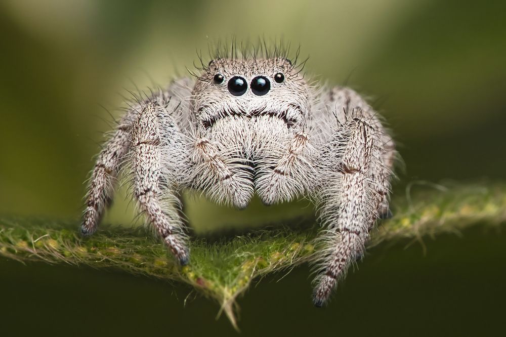 Photograph by Jose Vega