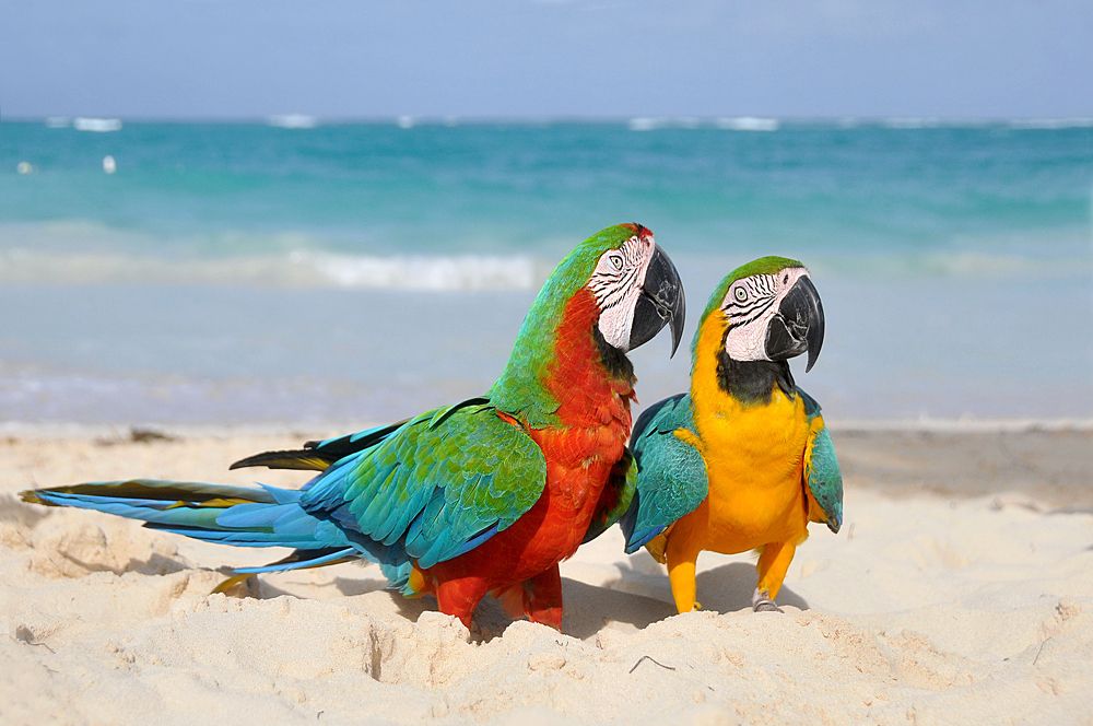 Photograph by NADEZHDA PELYMSKAIA