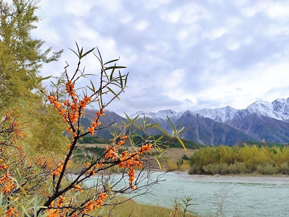 У реки Аргут