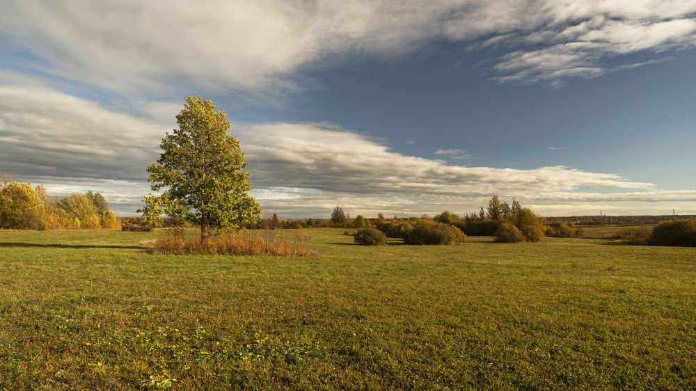Photograph by Виктория Шажко