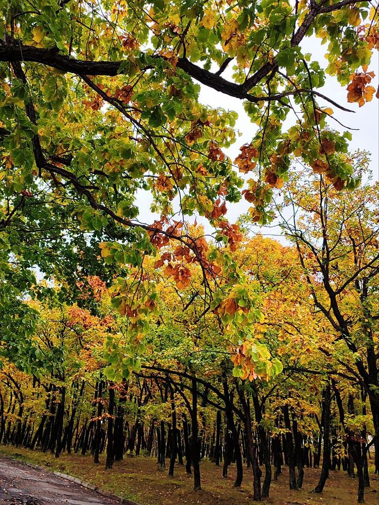 Photograph by Юлия Холомцева