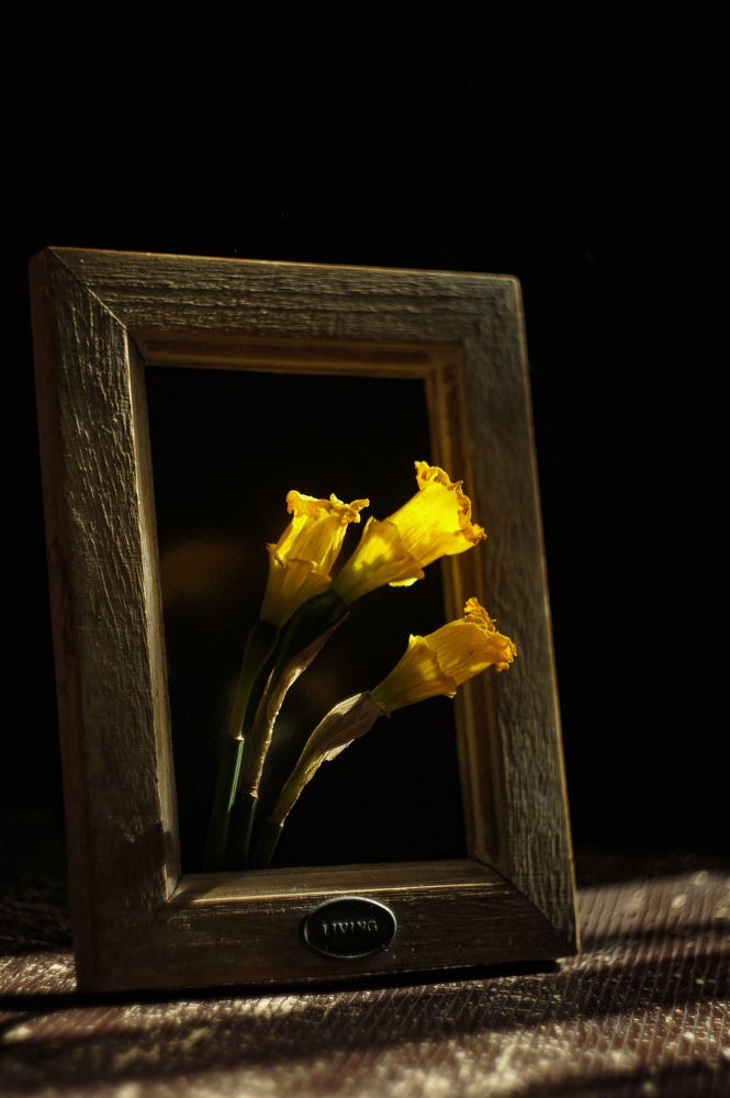 Photograph by Алена Мархель-Дианина