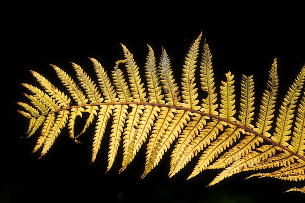 Photograph by Елена Амозова