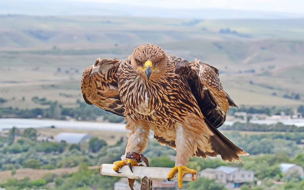 Photograph by Александр