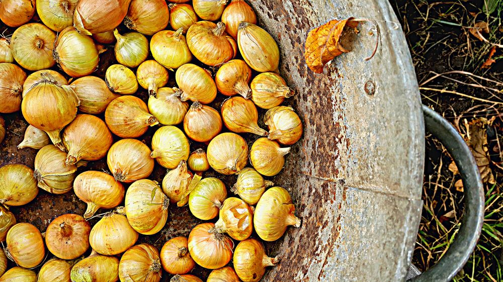 Photograph by Сергей Вальков