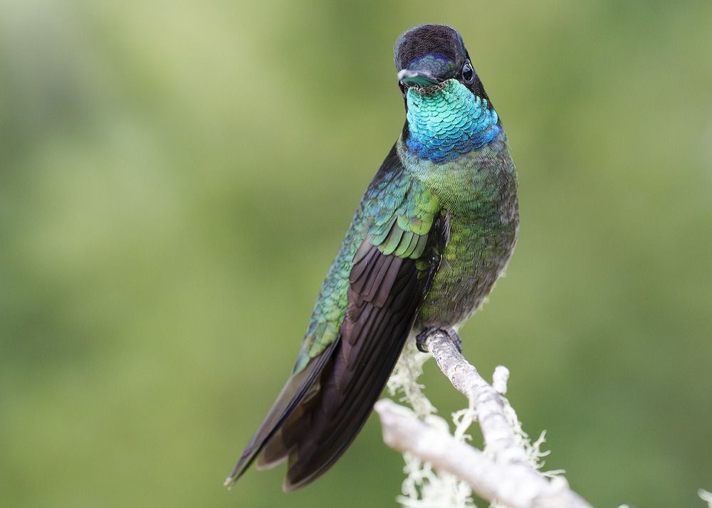 Photograph by Jose Vega