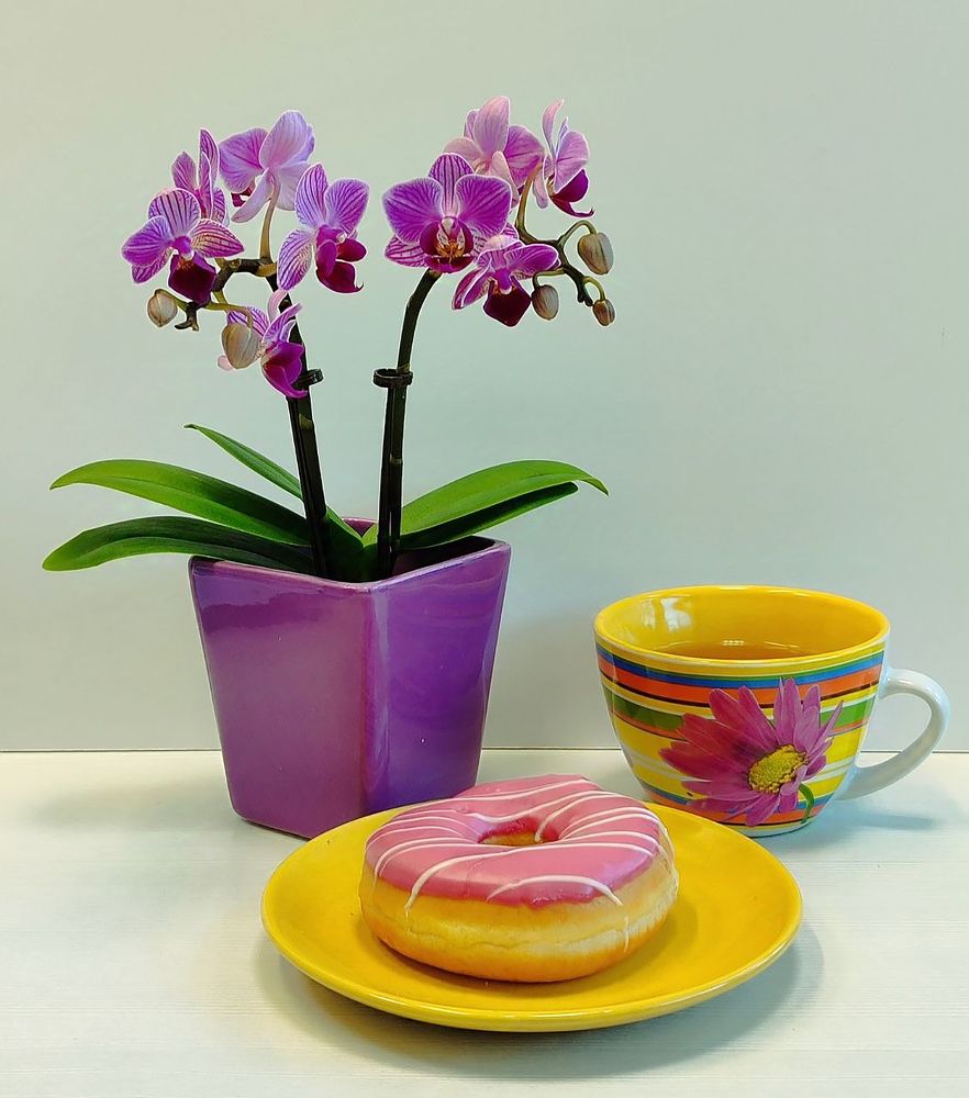 Десерт к чаю