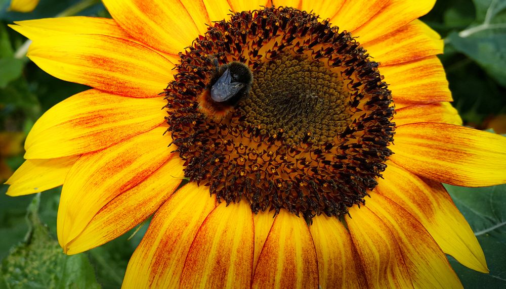 Photograph by Сергей Вальков