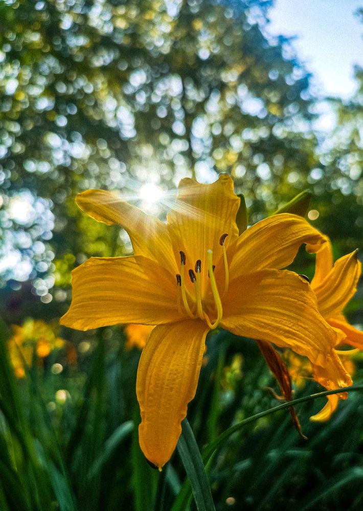 Фотография автора Нина Зинченко