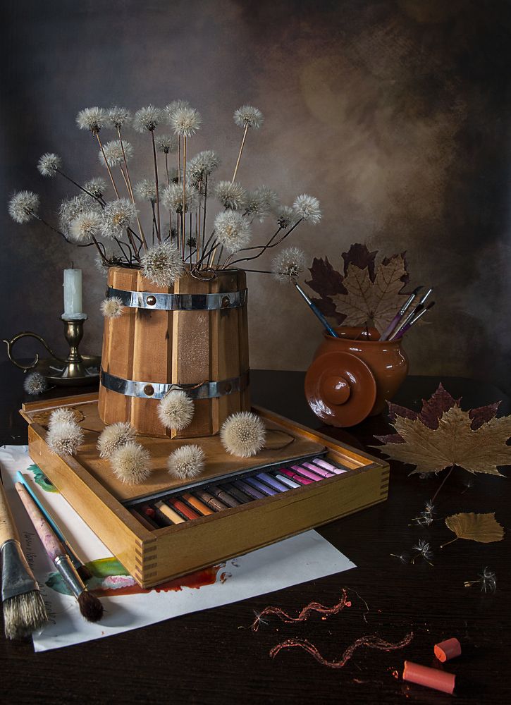 Фотография автора Елена Разина