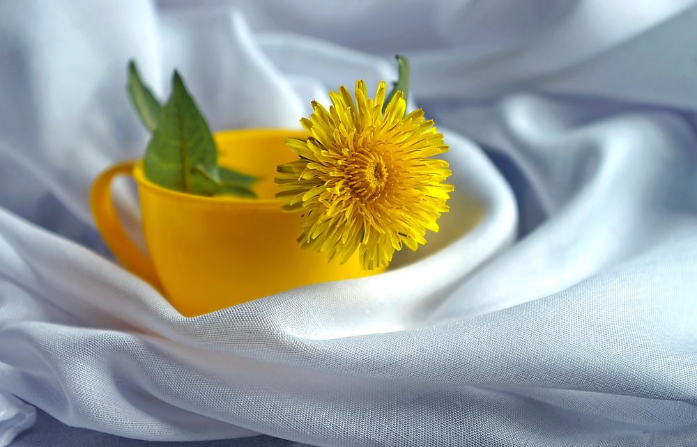 Photograph by Анатолий Святой