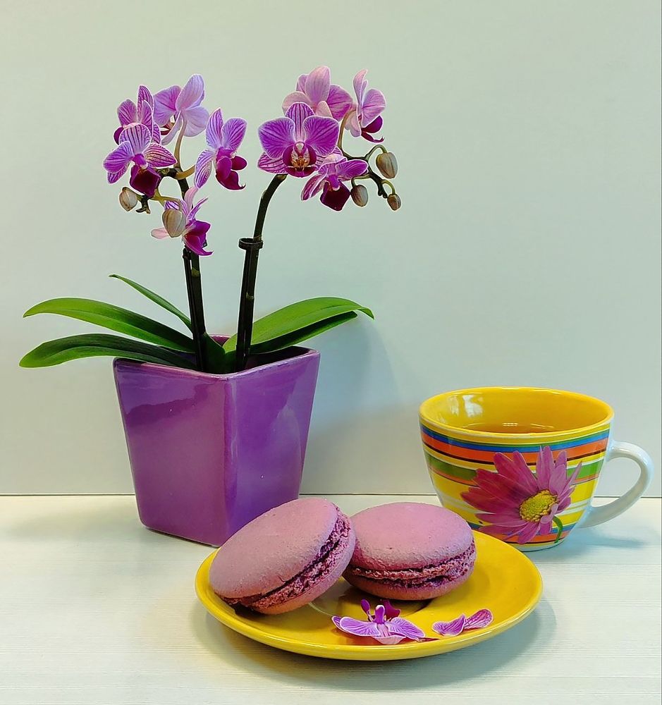 Десерт в сиреневых тонах