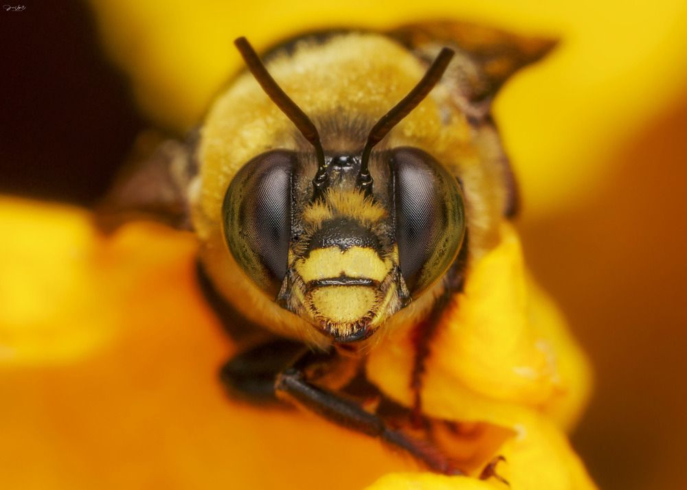 Photograph by Jose Vega