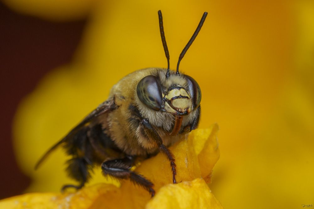 Photograph by Jose Vega