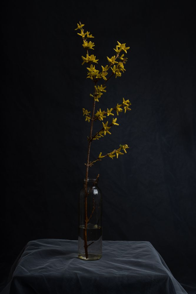 Фотография автора Могилевцева Дарья