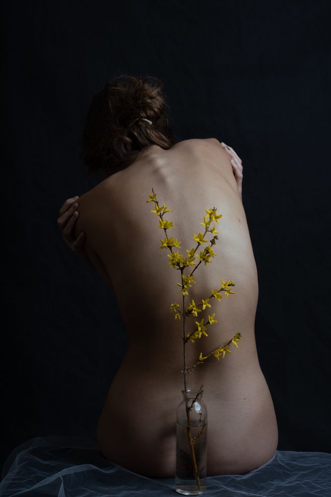 Фотография автора Могилевцева Дарья