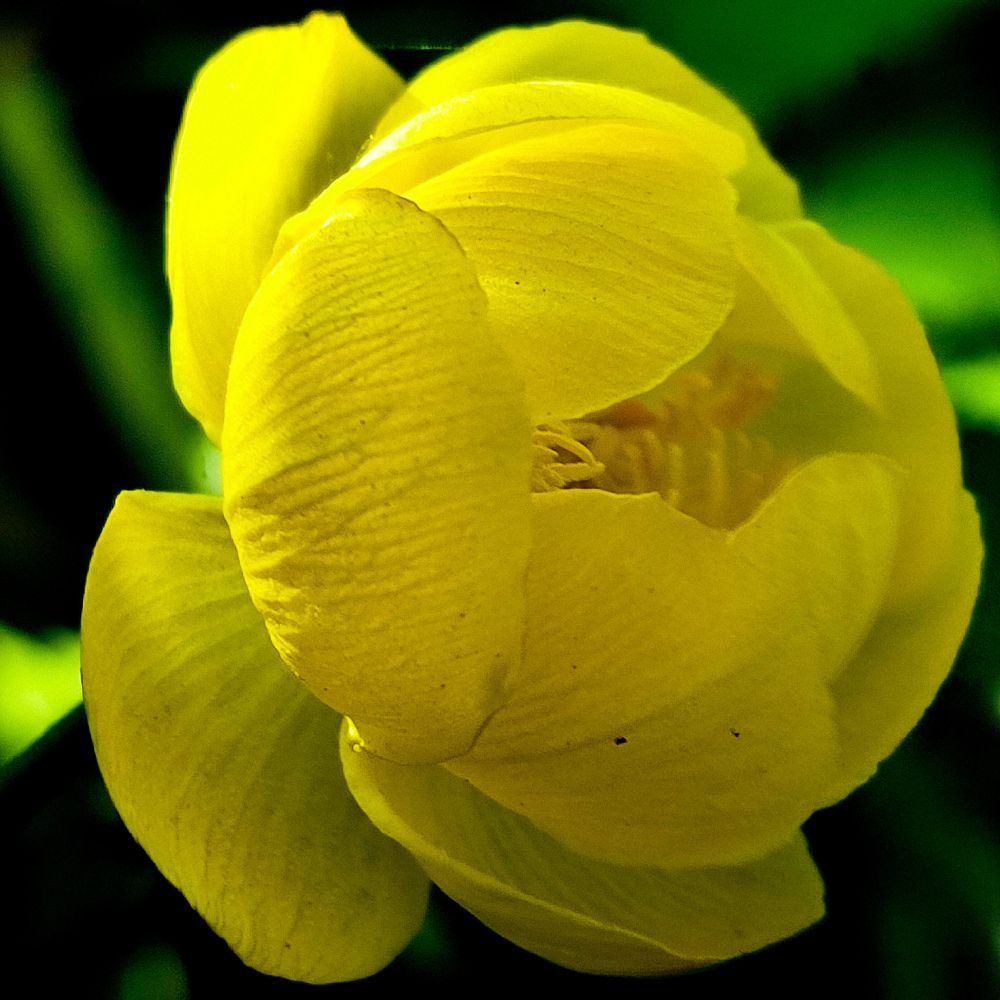 Фотография автора Нина Зинченко