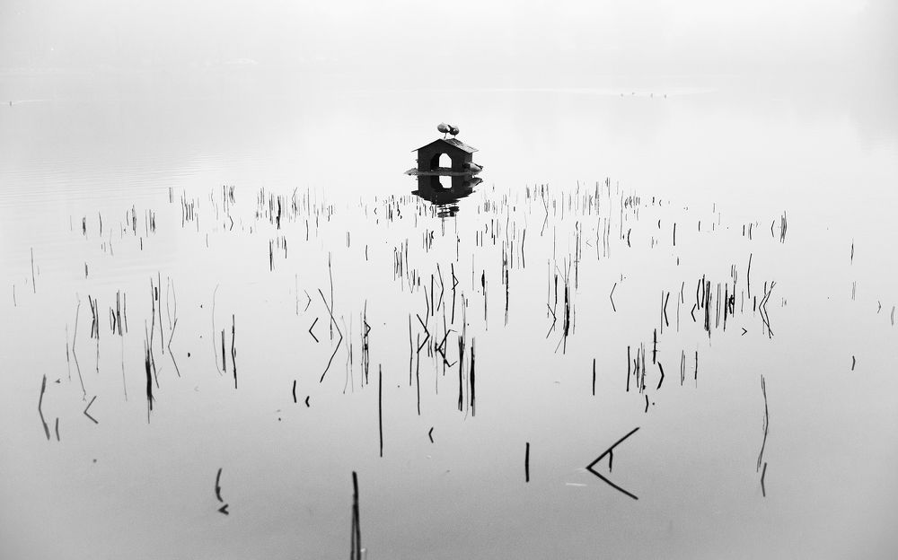 Photograph by Алексей Назаров