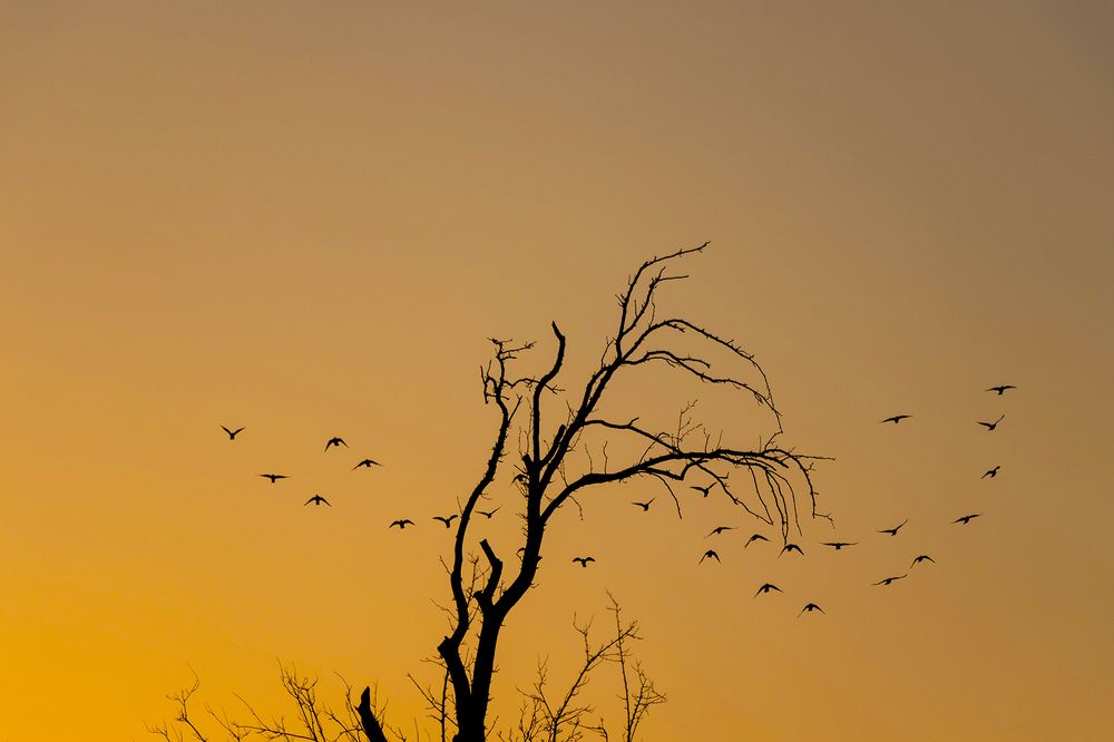 Photograph by samira sarayani