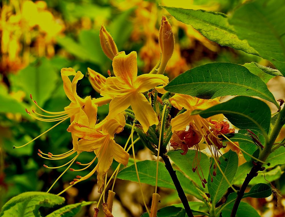 Photograph by Александр