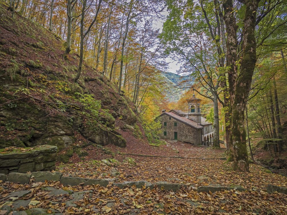 Photograph by Davide Poletto