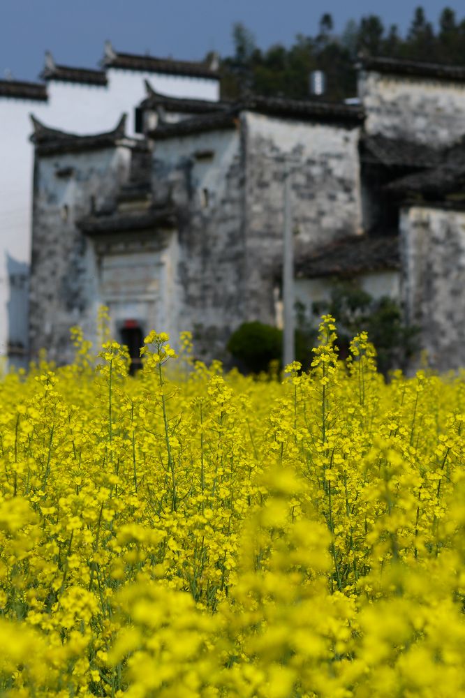 Фотография автора Jian Ma