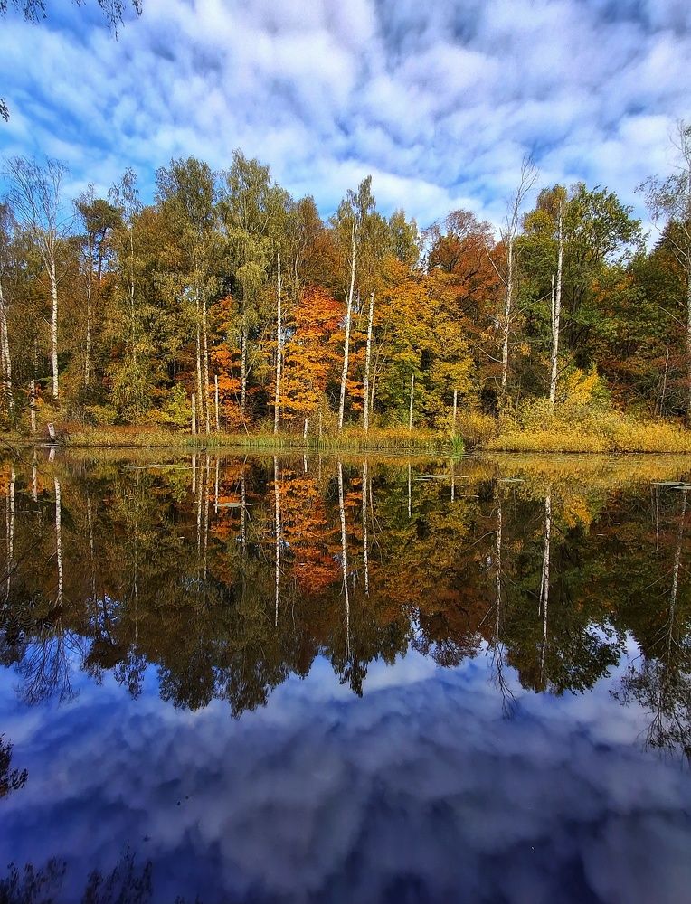 Photograph by Марина Безенкина