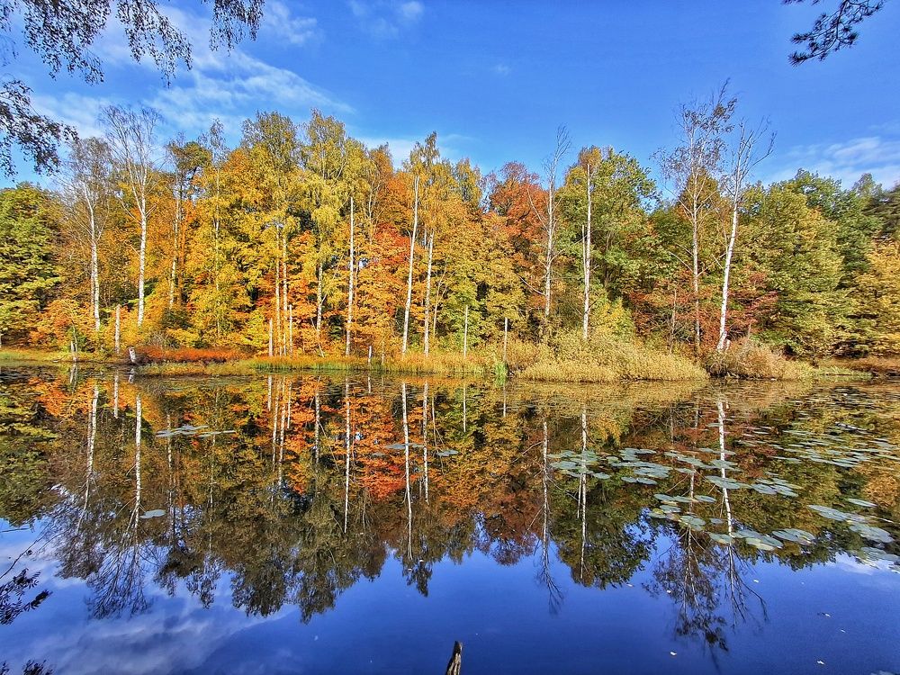 Photograph by Марина Безенкина