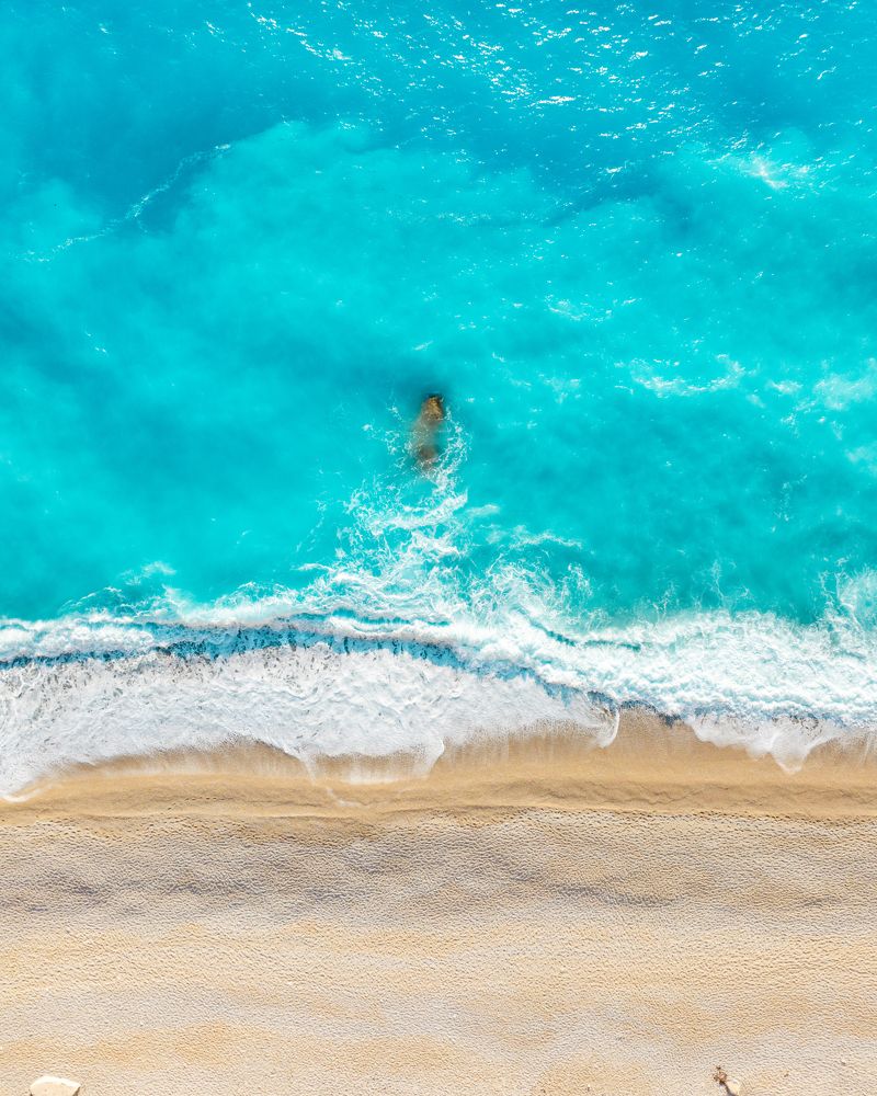 Photograph by Tsvetan Stanishelski