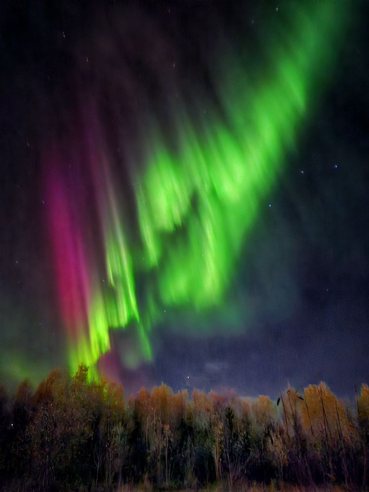 Photograph by ARTEM KORZHUKOV