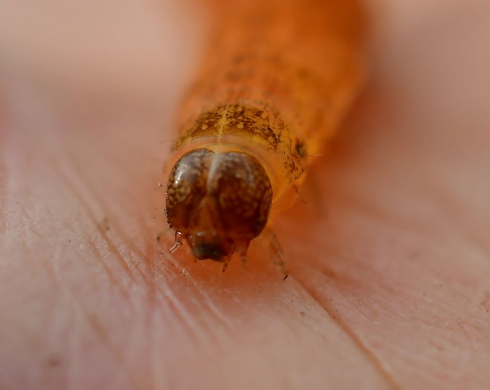 Photograph by Николай Абакумов