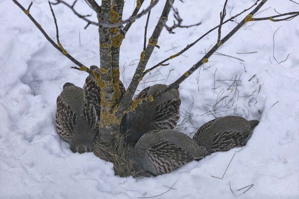 Фотография автора Могилевцева Дарья