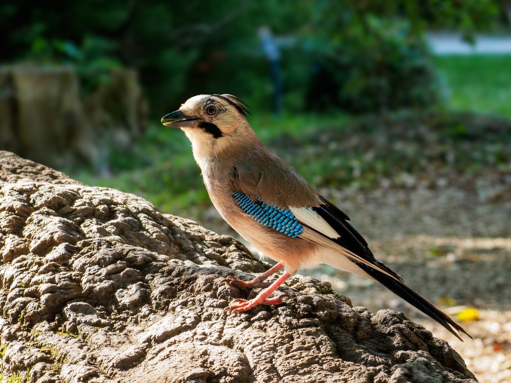 Photograph by Шейко Анна