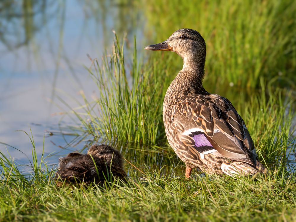 Photograph by Шейко Анна