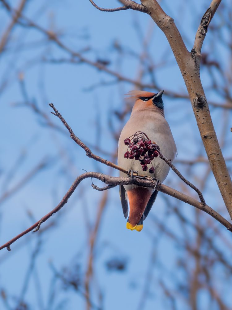 Photograph by Шейко Анна